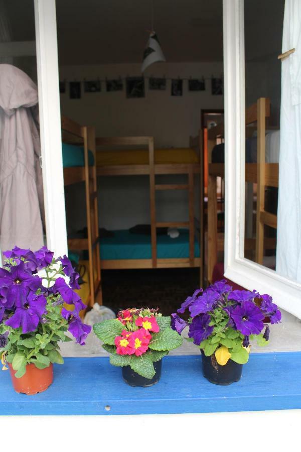 Albergue Olive *
