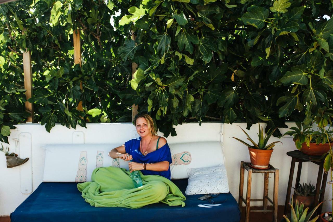 Olive Albergue